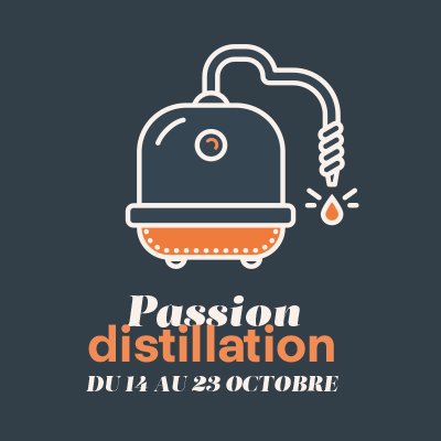 distillation_2025
